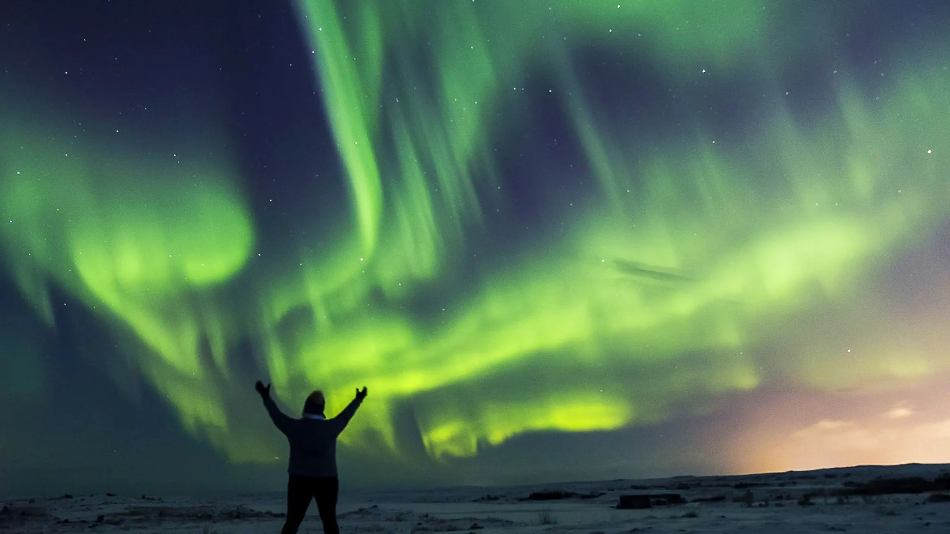 Green northern lights over a snowy landscape at night on a guided tour